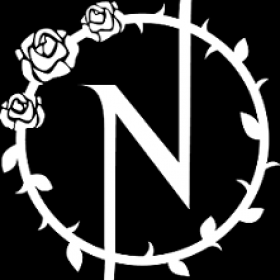 cropped-Nash-Aesthetics-Logo-REVERSE.png